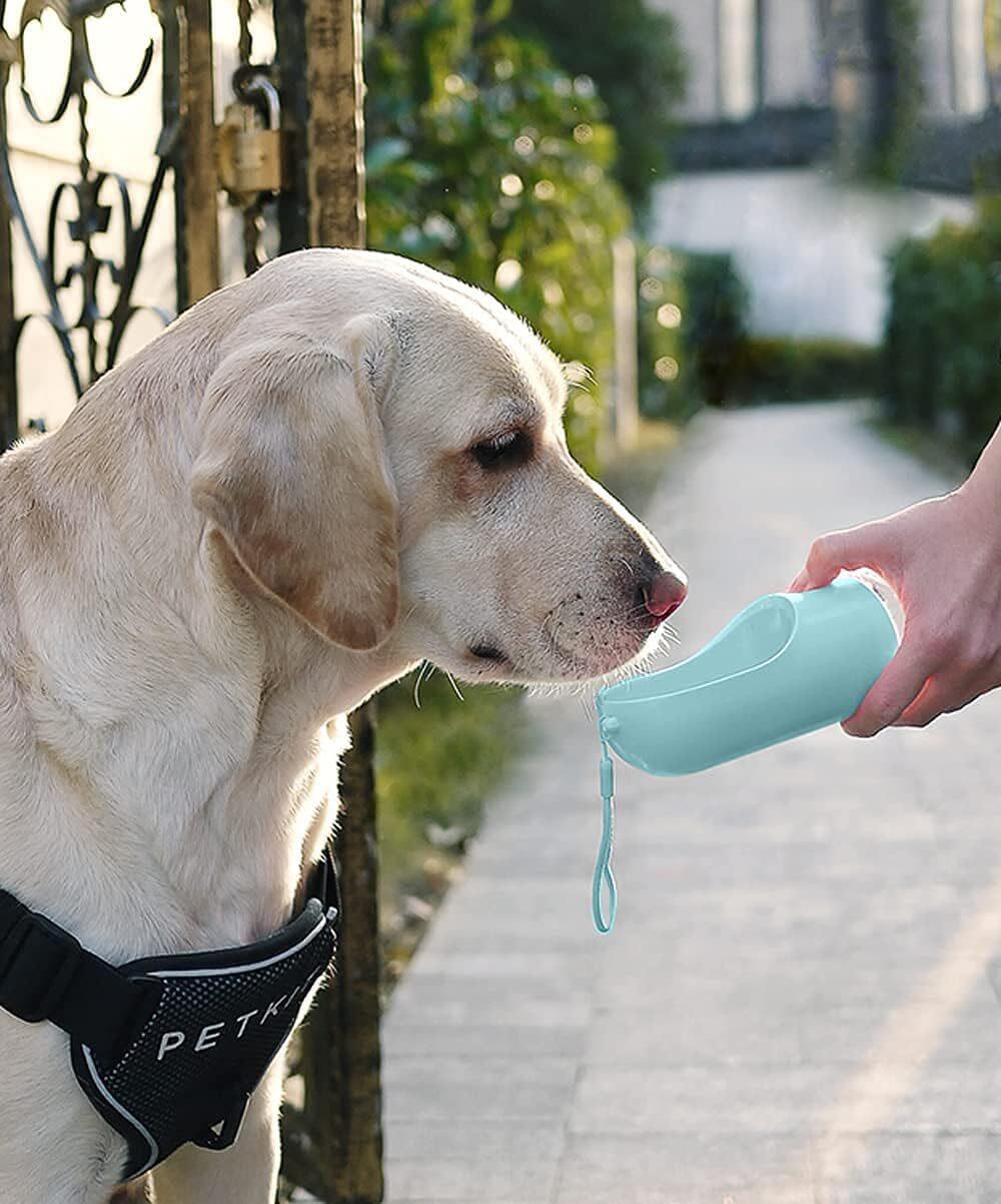 Essenza AquaPet — Bebedero para Mascotas