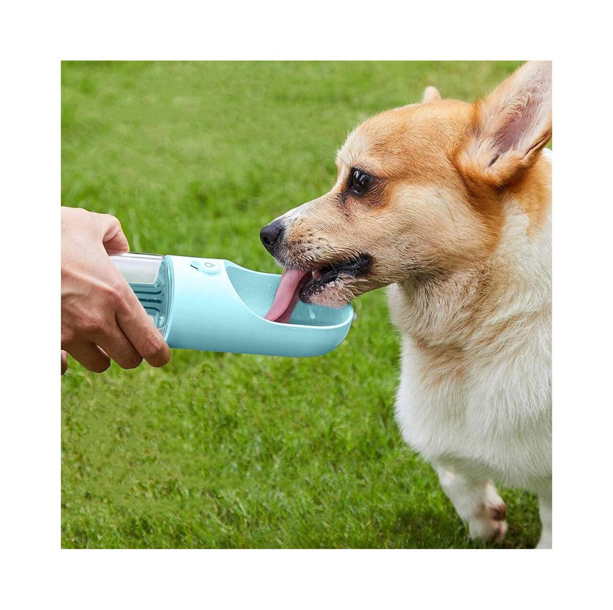 Essenza AquaPet — Bebedero para Mascotas