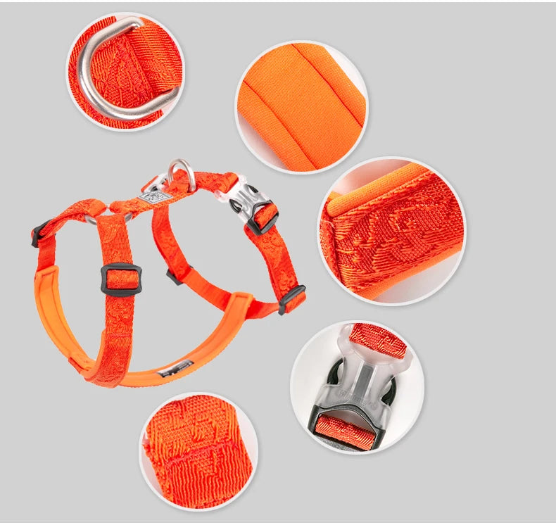 Essenza TrailFit — Arnés Deportivo para Perros | Reflectante, Cómodo y Ajustable