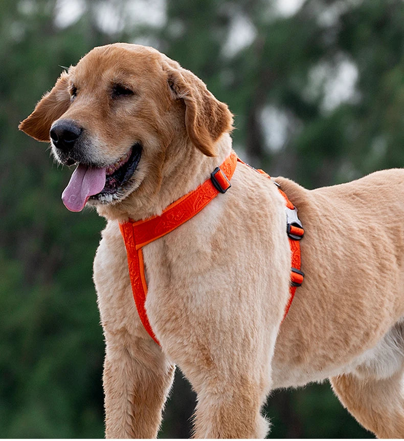 Essenza TrailFit — Arnés Deportivo para Perros | Reflectante, Cómodo y Ajustable