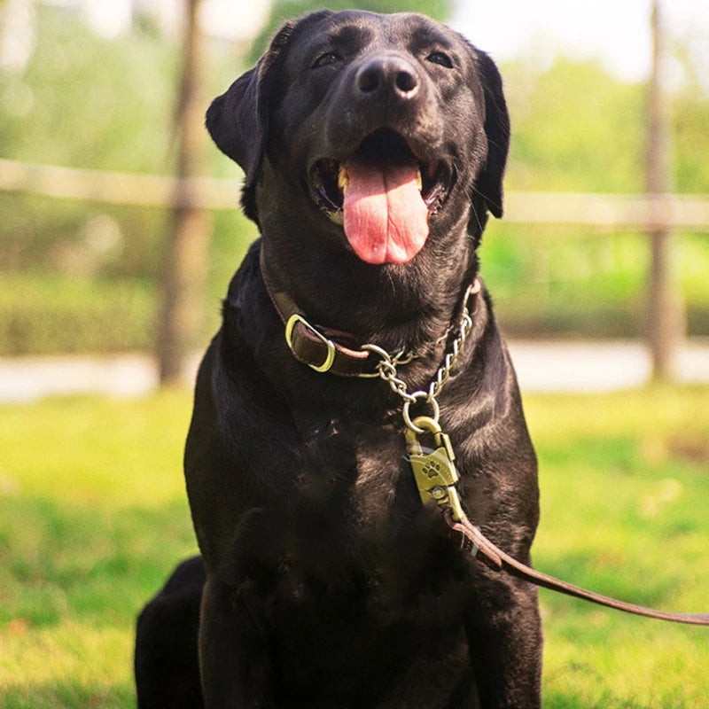 Essenza ControlFit — Collar Martingale para Perros | Control, Seguridad y Confort