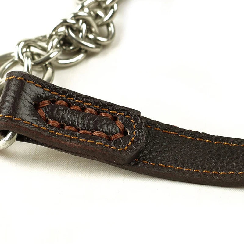 Essenza ControlFit — Collar Martingale para Perros | Control, Seguridad y Confort