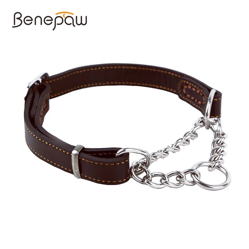 Essenza ControlFit — Collar Martingale para Perros | Control, Seguridad y Confort