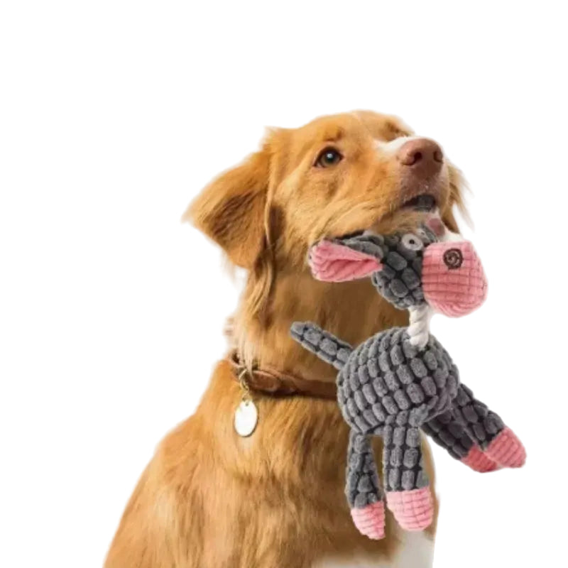 Essenza PlayJoy — Juguete Mordedor de Peluche con Sonido para Perros
