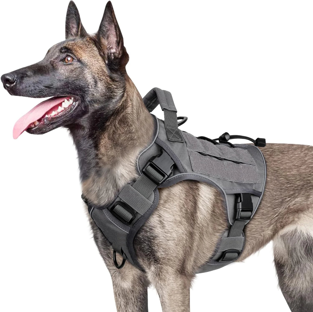Essenza ActiveFit — Arnés Ajustable para Perros | Control, Seguridad y Confort