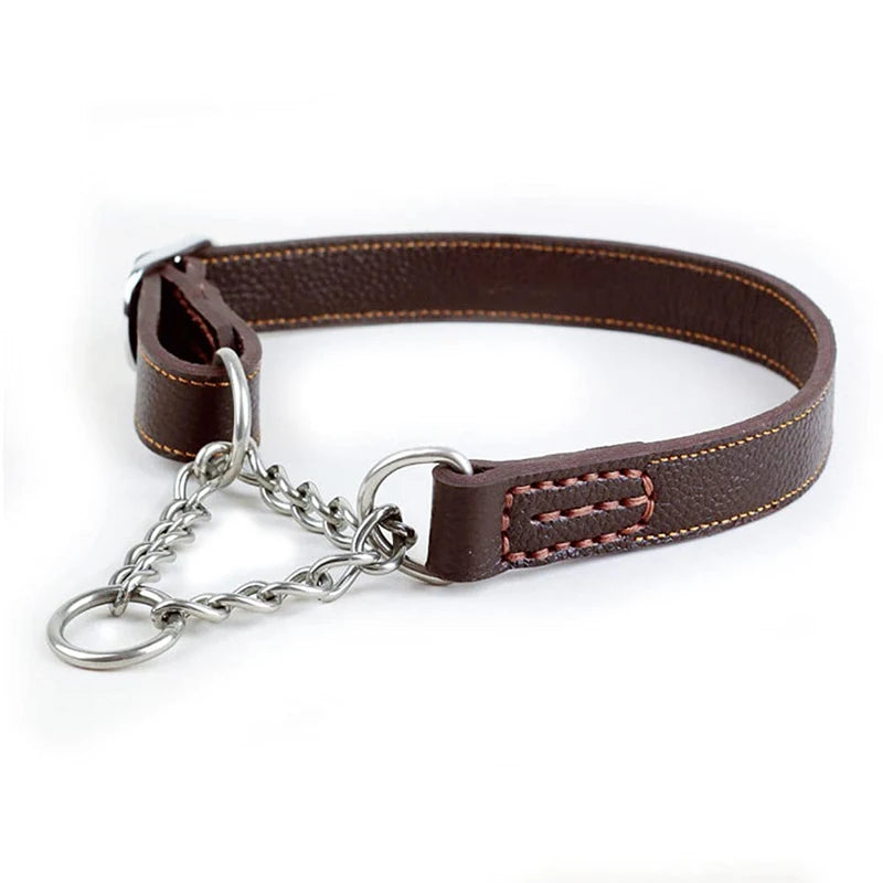 Essenza ControlFit — Collar Martingale para Perros | Control, Seguridad y Confort