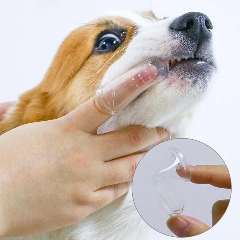 Essenza Pet — Cepillos Dentales de Silicona para Mascotas | Pack de 5 Unidades