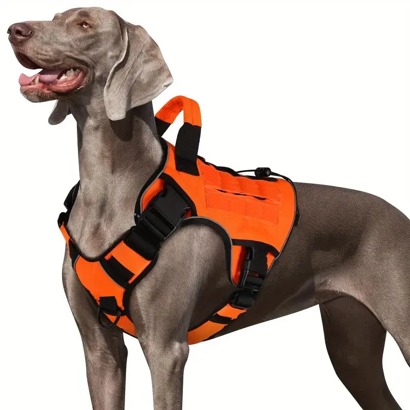 Essenza ActiveFit — Arnés Ajustable para Perros | Control, Seguridad y Confort