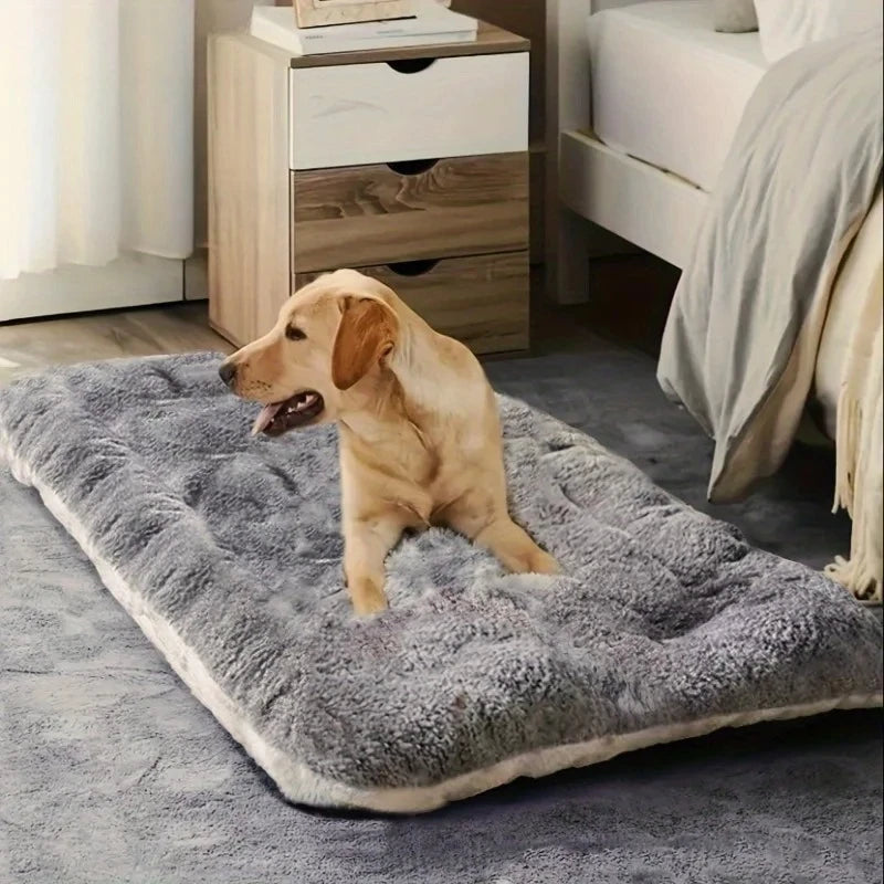 Essenza CozyBed Plus — Cama Acolchada y Suave para Perros y Gatos