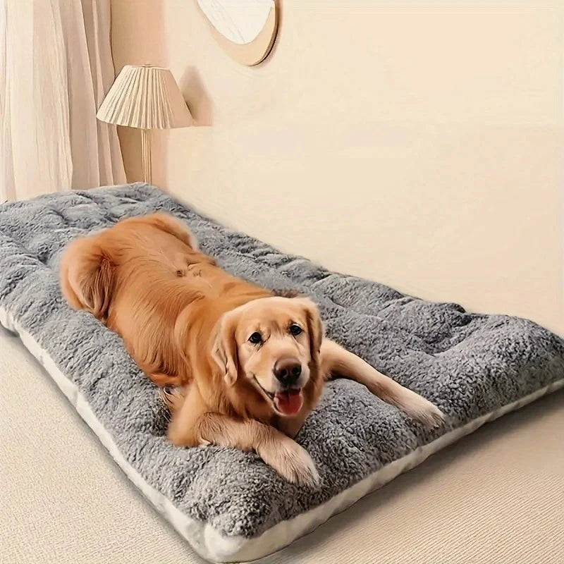 Essenza CozyBed Plus — Cama Acolchada y Suave para Perros y Gatos