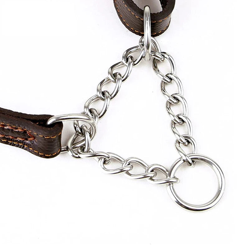 Essenza ControlFit — Collar Martingale para Perros | Control, Seguridad y Confort