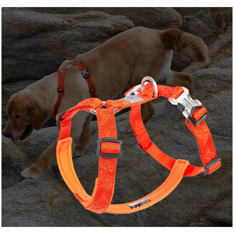 Essenza TrailFit — Arnés Deportivo para Perros | Reflectante, Cómodo y Ajustable