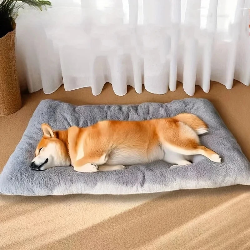 Essenza CozyBed Plus — Cama Acolchada y Suave para Perros y Gatos