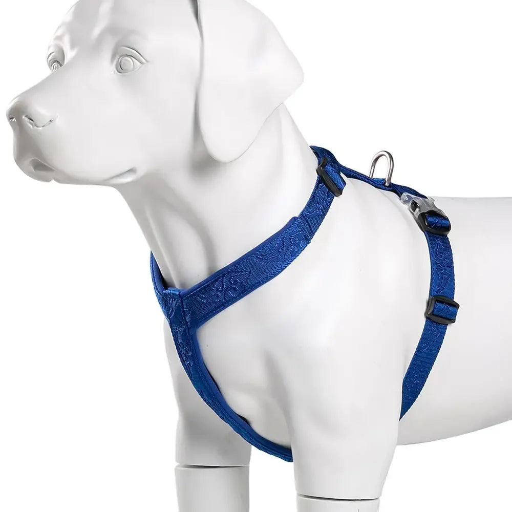 Essenza TrailFit — Arnés Deportivo para Perros | Reflectante, Cómodo y Ajustable