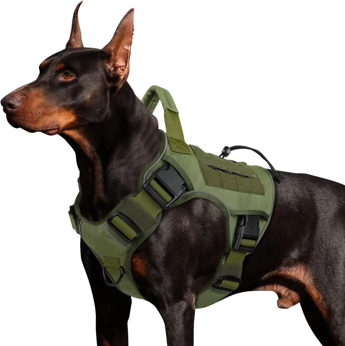 Essenza ActiveFit — Arnés Ajustable para Perros | Control, Seguridad y Confort