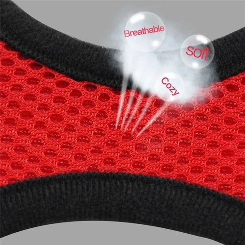 Essenza AirBreeze — Arnés Transpirable para Perros y Gatos | Ligero, Ajustable y Reflectante